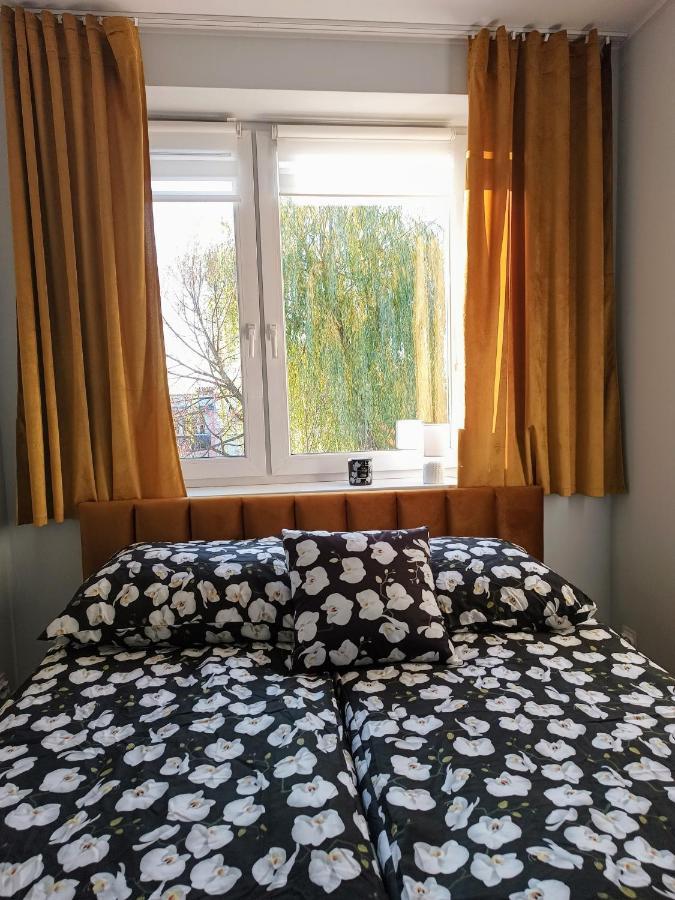 Bursztynowy Apartament タルノフスキェ・グルィ エクステリア 写真