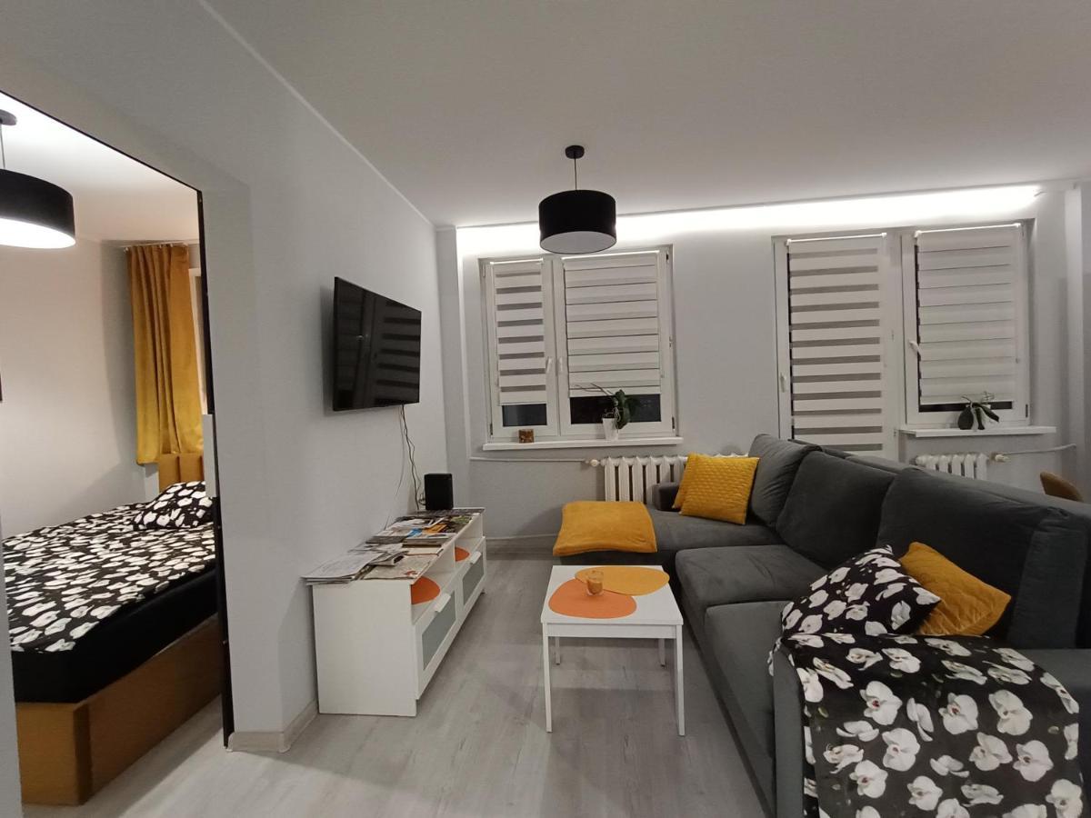 Bursztynowy Apartament タルノフスキェ・グルィ エクステリア 写真