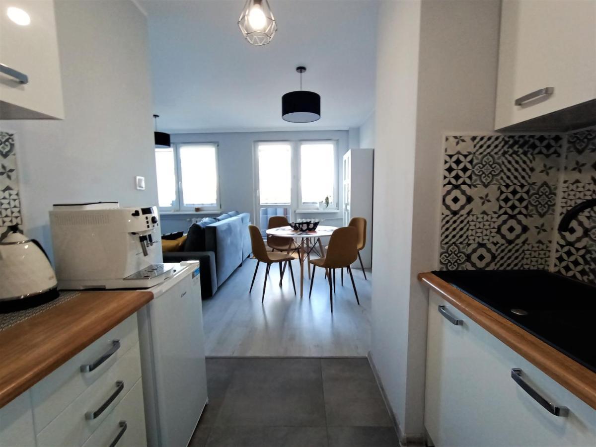 Bursztynowy Apartament タルノフスキェ・グルィ エクステリア 写真
