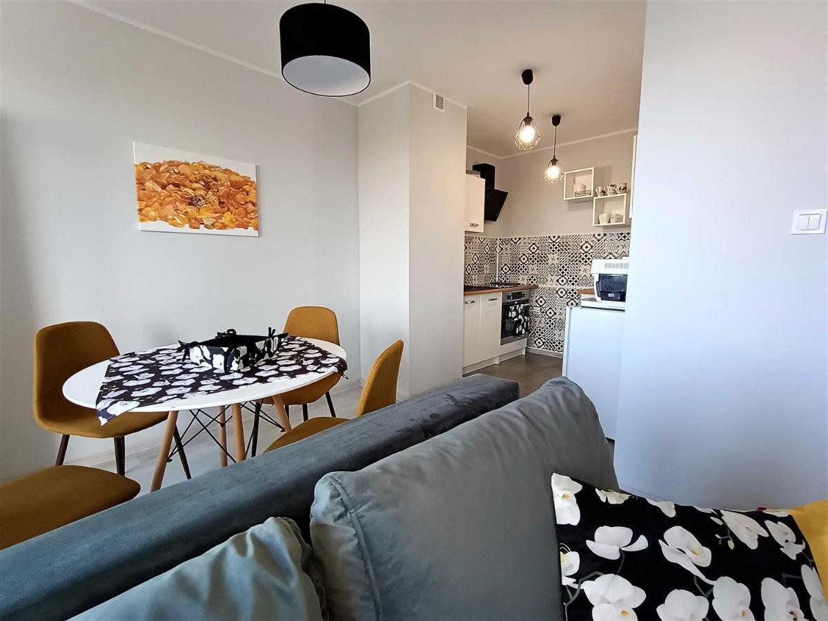 Bursztynowy Apartament タルノフスキェ・グルィ エクステリア 写真