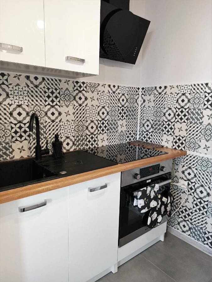 Bursztynowy Apartament タルノフスキェ・グルィ エクステリア 写真