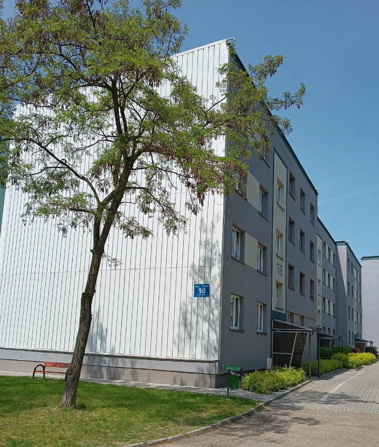 Bursztynowy Apartament タルノフスキェ・グルィ エクステリア 写真