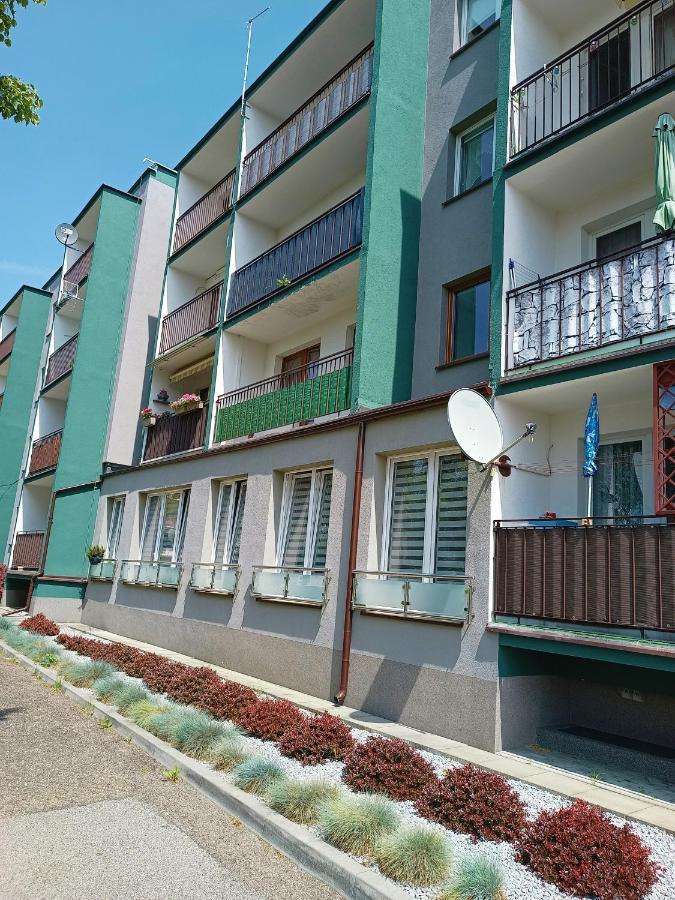 Bursztynowy Apartament タルノフスキェ・グルィ エクステリア 写真