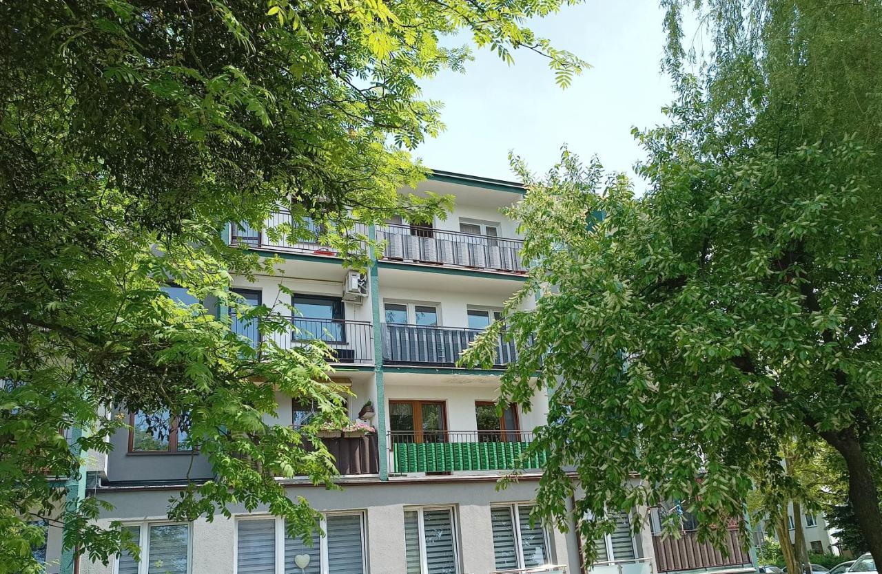 Bursztynowy Apartament タルノフスキェ・グルィ エクステリア 写真